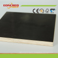 Brown Film Faced Plywood